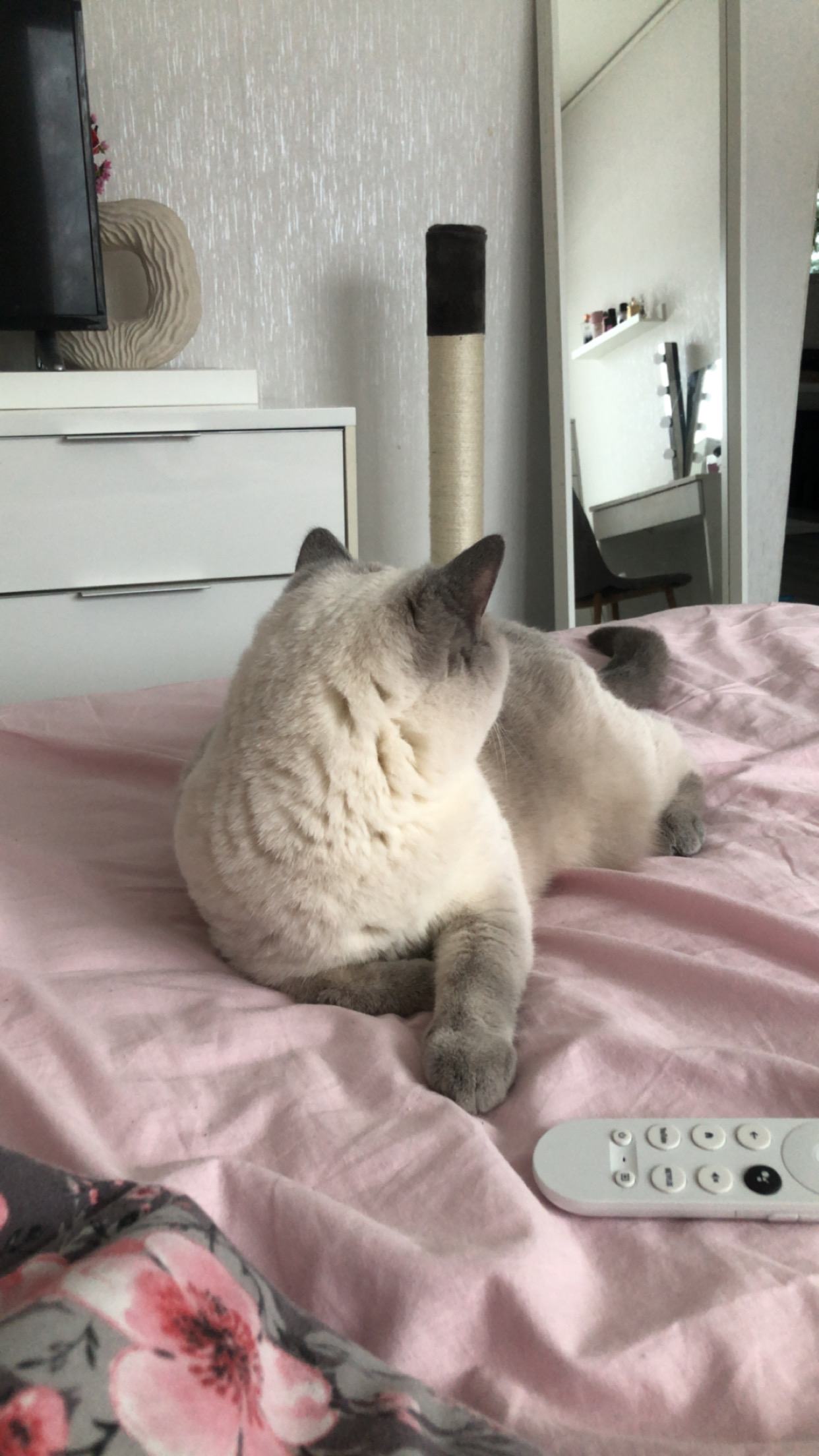 Profiilikuva: Jasmin